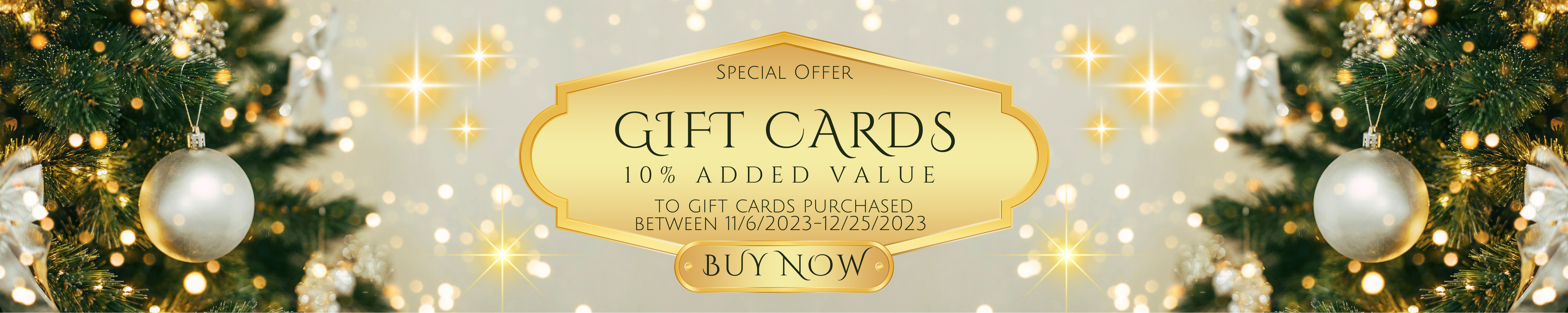Gift-Card-Banner-Website-2